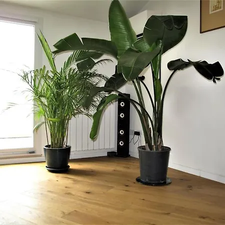 Apartment Prati Fiscali Penthouse