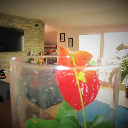 Apartment Prati Fiscali Penthouse *